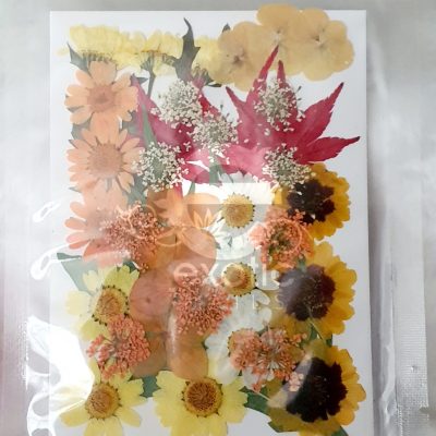 Naturaleza Muerta Amarilla Exotic Nails
