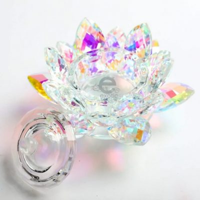 Godete Exotic nails Cristal con tapa Flor de Loto Tornasol
