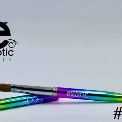 Pincel Exotic Nails Rainbow metalico #12 con tapa