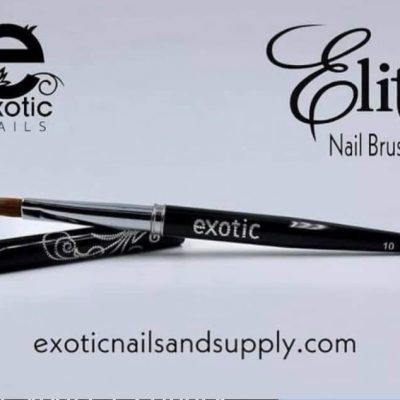 Pincel Exotic Nails #10 Elite