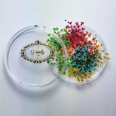 Naturaleza Muerta Lovely Nails Colores vivos