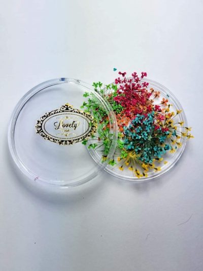 Naturaleza Muerta Lovely Nails Colores vivos