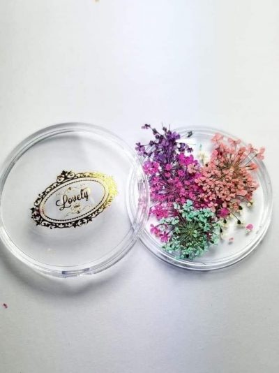 Naturaleza muerta Lovely Nails Colores Pastel