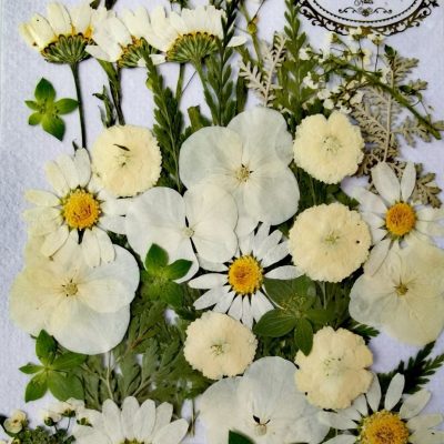 Naturaleza Muerta Jumbo Blanca Lovely Nails