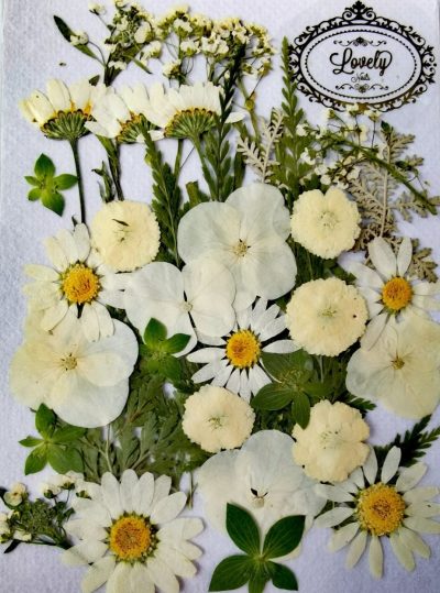 Naturaleza Muerta Jumbo Blanca Lovely Nails