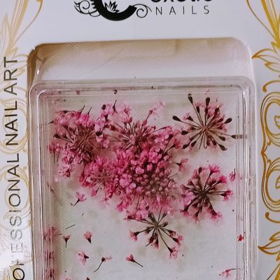 Blister de Naturaleza Muerta Exotic Nails Rosa