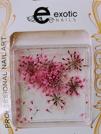 Blister de Naturaleza Muerta Exotic Nails Rosa