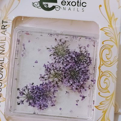 Blister de Naturaleza Muerta Lila