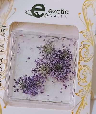 Blister de Naturaleza Muerta Lila