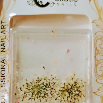 Blister de Naturaleza Muerta Exotic