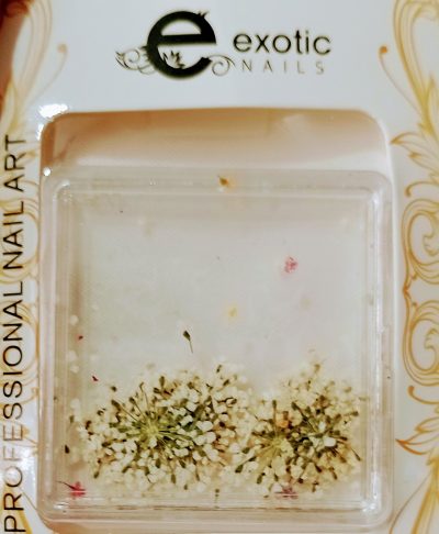 Blister de Naturaleza Muerta Exotic