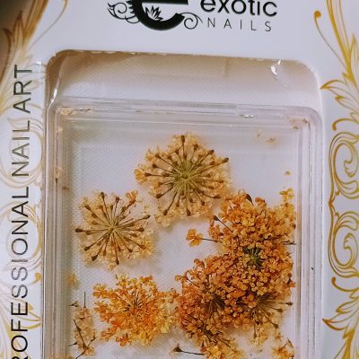 Blister Naturaleza Muerta Exotic Nails