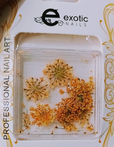Blister Naturaleza Muerta Exotic Nails