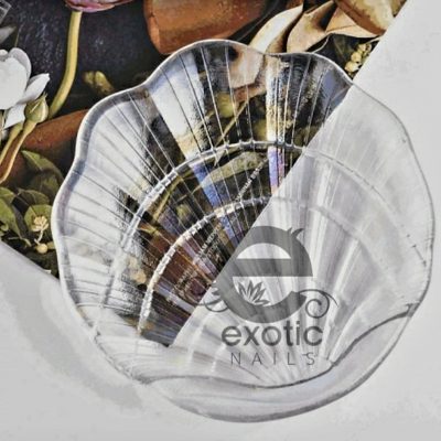 Conchita para decoracion Exotic Nails