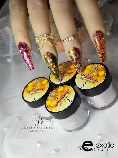 Colección Exotic Nails 4 tonos Art color Glitter