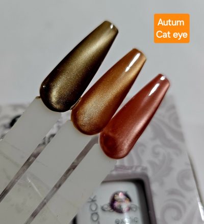 Gama Gelack Tricolor Exotic nails Autum Cat eye