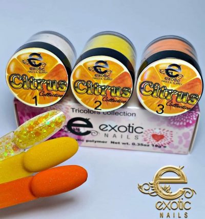 Coleccion Exotic Nails Tricolor Citrys
